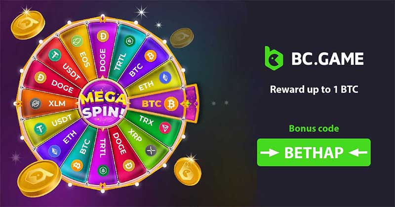 Comprehensive Guide to BC.CO Registration